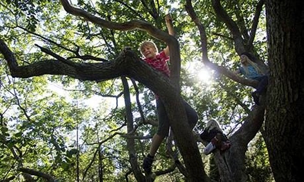 Children-climbing-trees-008